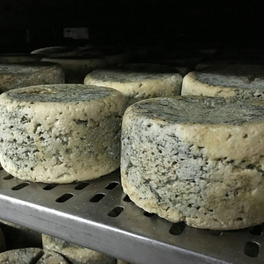 queso de cabrales