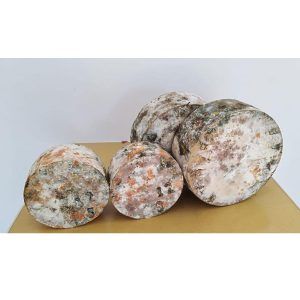 queso gamoneu